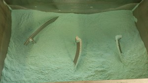 Mísící stroje Mavet